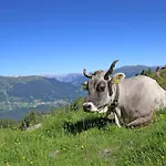 Panoramablick