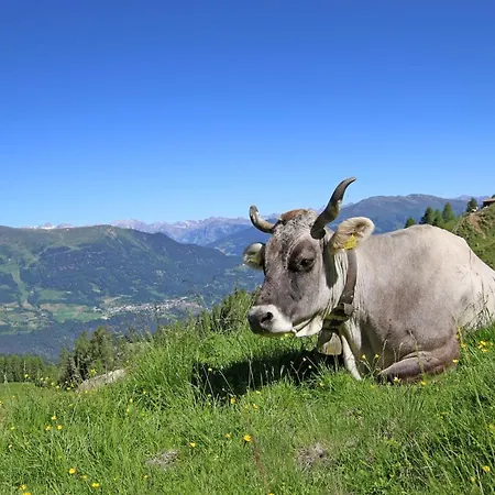 Panoramablick